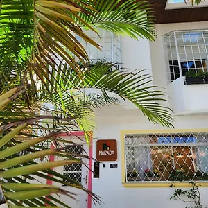 Morada Brazil